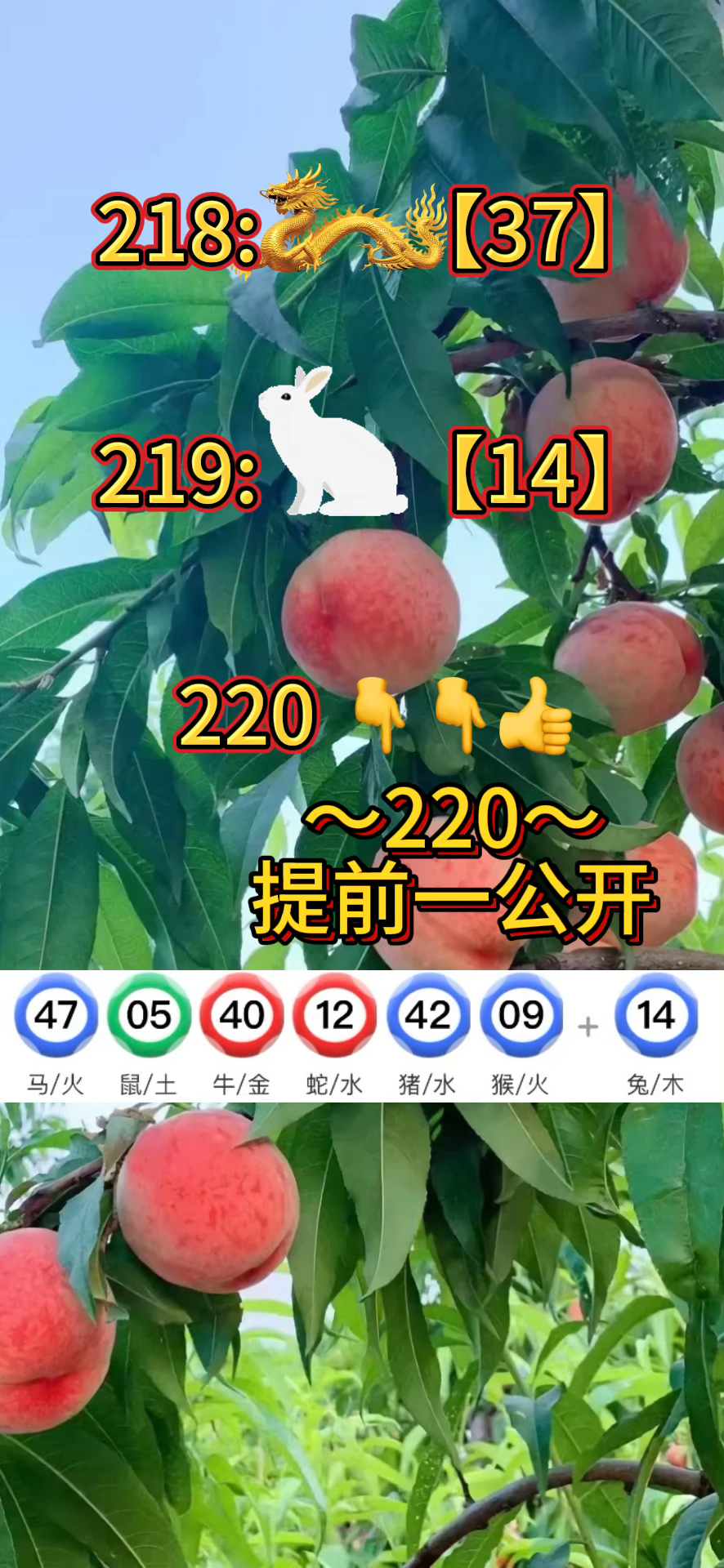 澳门彩资料大全书,澳门彩资料大全的简单介绍
