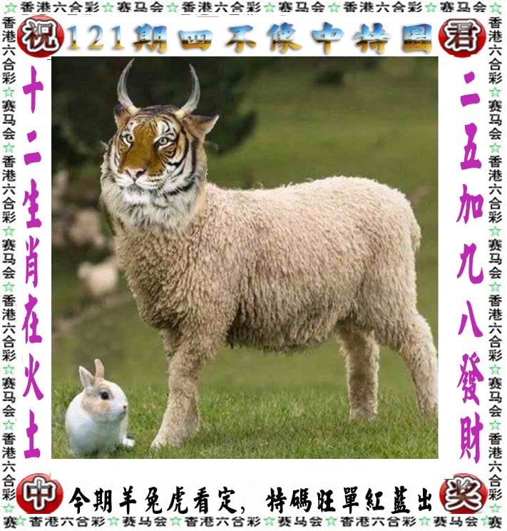 澳彩资料免费的资料	