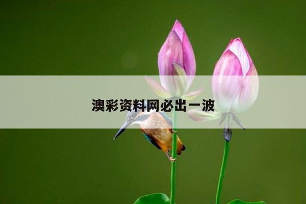 澳彩资料网必出一波