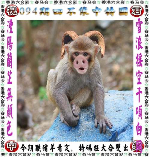 澳彩图库00853tkcom,澳彩图库00853tkcom打不开怎么办